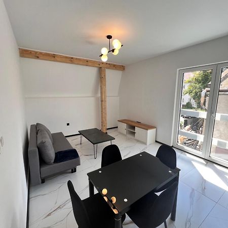 Dworskiego 74 Apartament 1 Przemyśl Kültér fotó